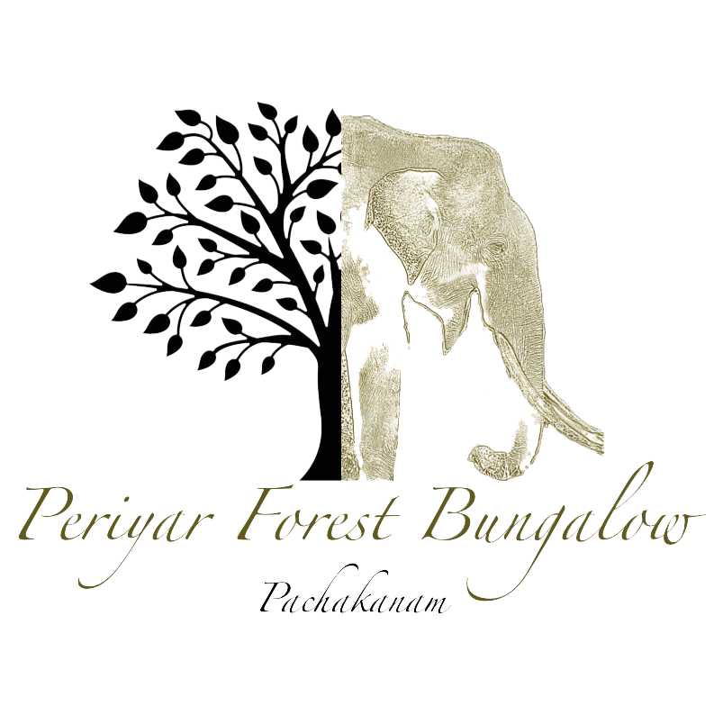 Periyar Forest Bungalow