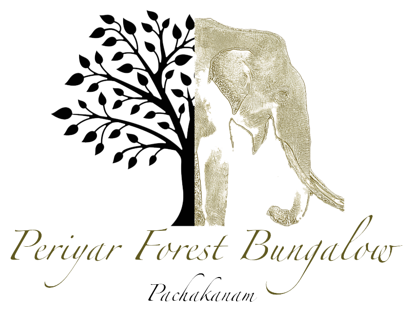 Periyar Forest Bungalow